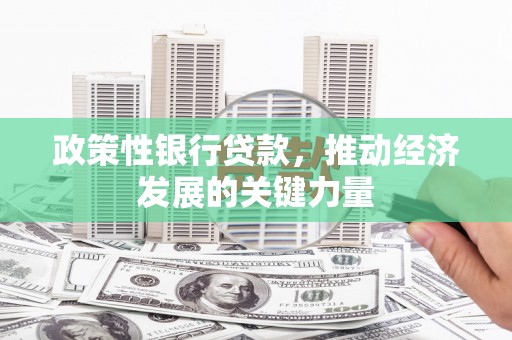 丁青政策性银行贷款，推动经济发展的关键力量