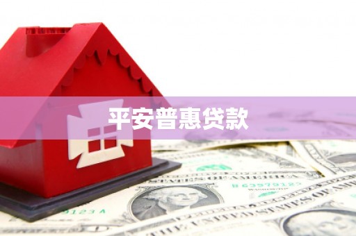 蒲城平安普惠贷款