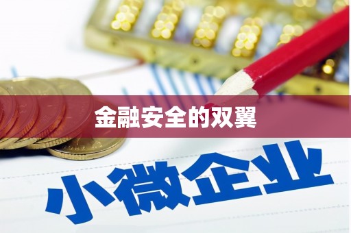 天镇金融安全的双翼