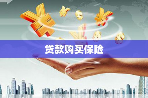 阳城贷款购买保险