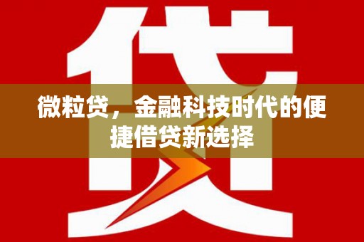 花地玛堂区微粒贷，金融科技时代的便捷借贷新选择