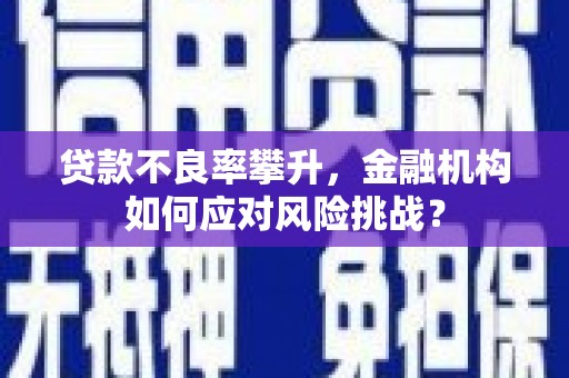富平贷款不良率攀升，金融机构如何应对风险挑战？