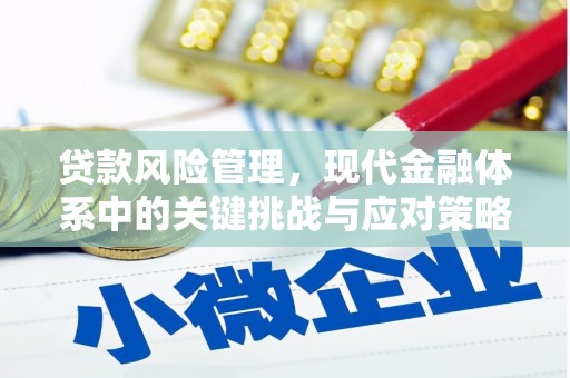 徽州贷款风险管理，现代金融体系中的关键挑战与应对策略