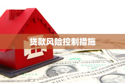 夷陵贷款风险控制措施