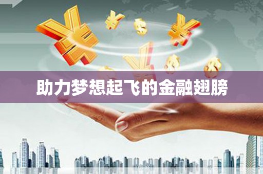 六安助力梦想起飞的金融翅膀