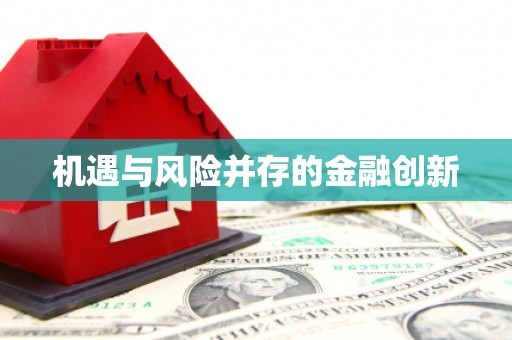 巴塘机遇与风险并存的金融创新