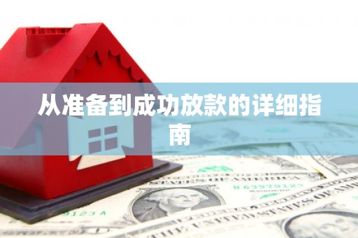 龙沙从准备到成功放款的详细指南