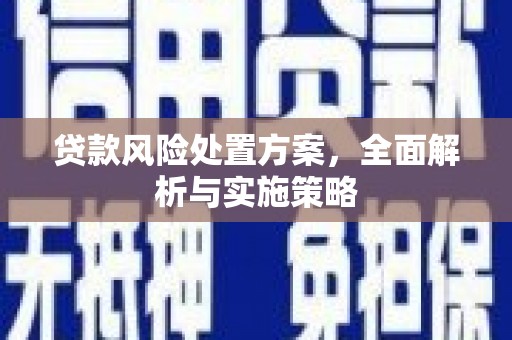 荷塘贷款风险处置方案，全面解析与实施策略