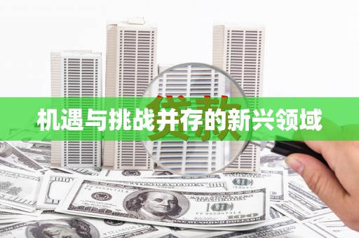 修文机遇与挑战并存的新兴领域