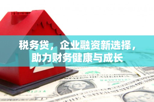 溧阳税务贷，企业融资新选择，助力财务健康与成长