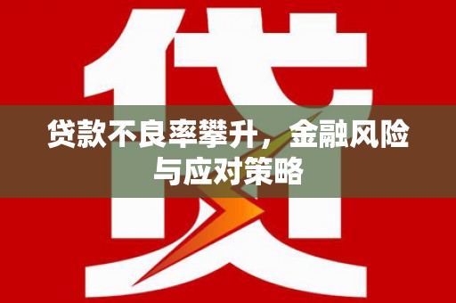 茂县贷款不良率攀升，金融风险与应对策略